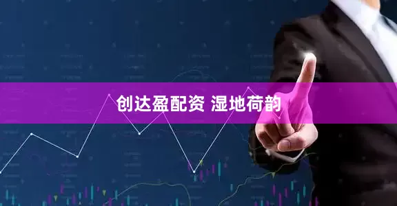 创达盈配资 湿地荷韵