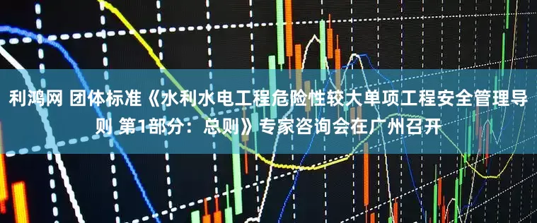 利鸿网 团体标准《水利水电工程危险性较大单项工程安全管理导则 第1部分：总则》专家咨询会在广州召开