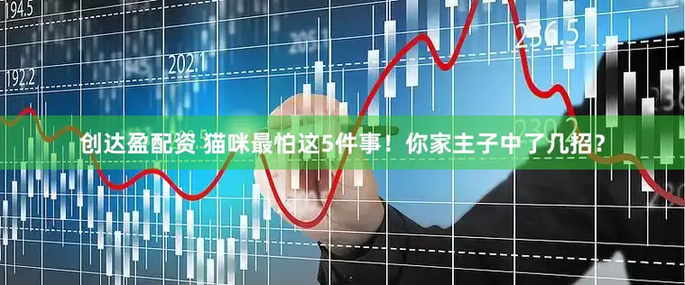 创达盈配资 猫咪最怕这5件事！你家主子中了几招？