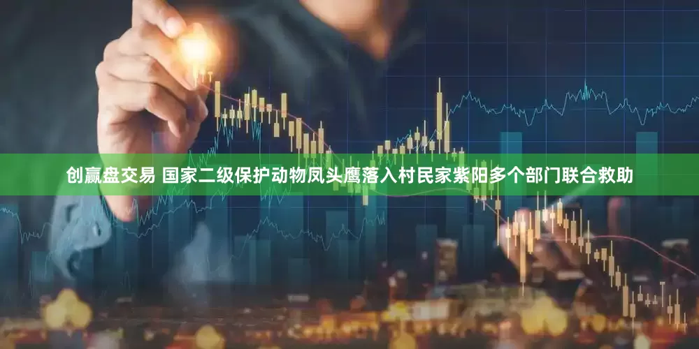 创赢盘交易 国家二级保护动物凤头鹰落入村民家紫阳多个部门联合救助