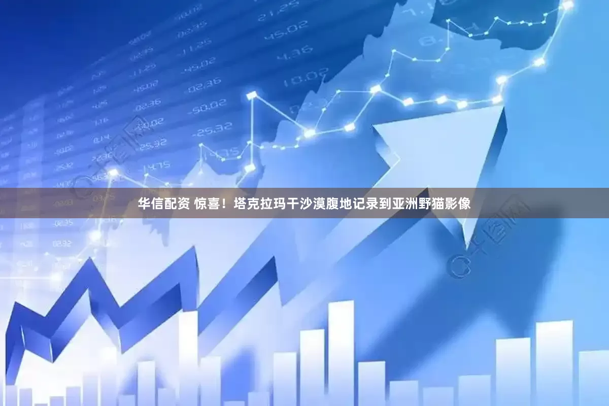 华信配资 惊喜！塔克拉玛干沙漠腹地记录到亚洲野猫影像