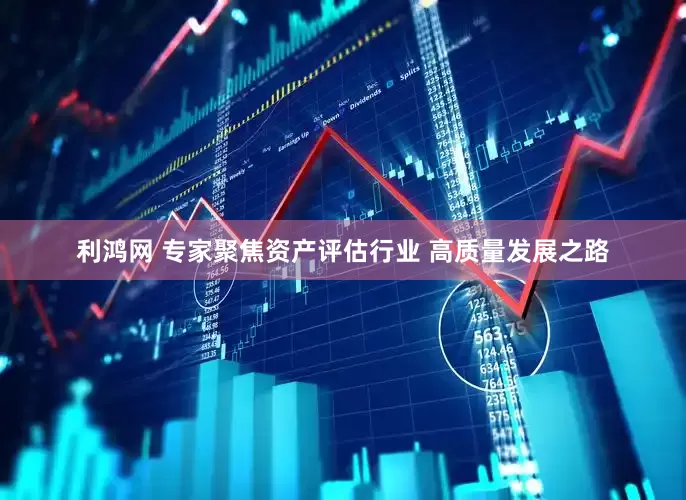 利鸿网 专家聚焦资产评估行业 高质量发展之路