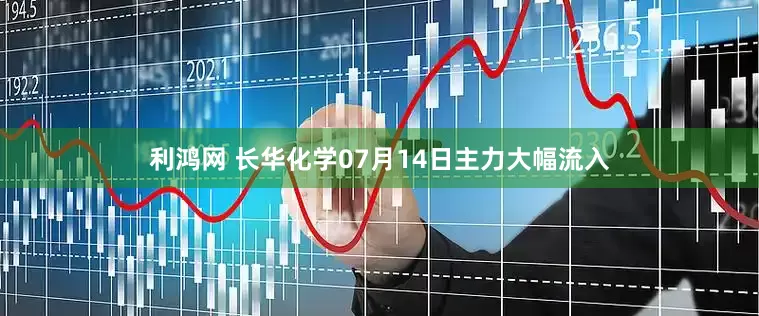 利鸿网 长华化学07月14日主力大幅流入