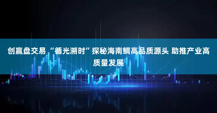 创赢盘交易 “循光溯时”探秘海南鲷高品质源头 助推产业高质量发展
