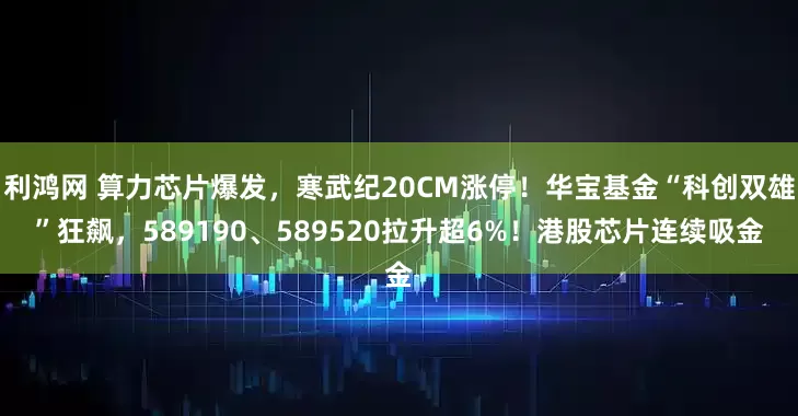 利鸿网 算力芯片爆发，寒武纪20CM涨停！华宝基金“科创双雄”狂飙，589190、589520拉升超6%！港股芯片连续吸金