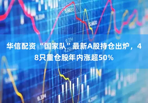 华信配资 “国家队”最新A股持仓出炉，48只重仓股年内涨超50%